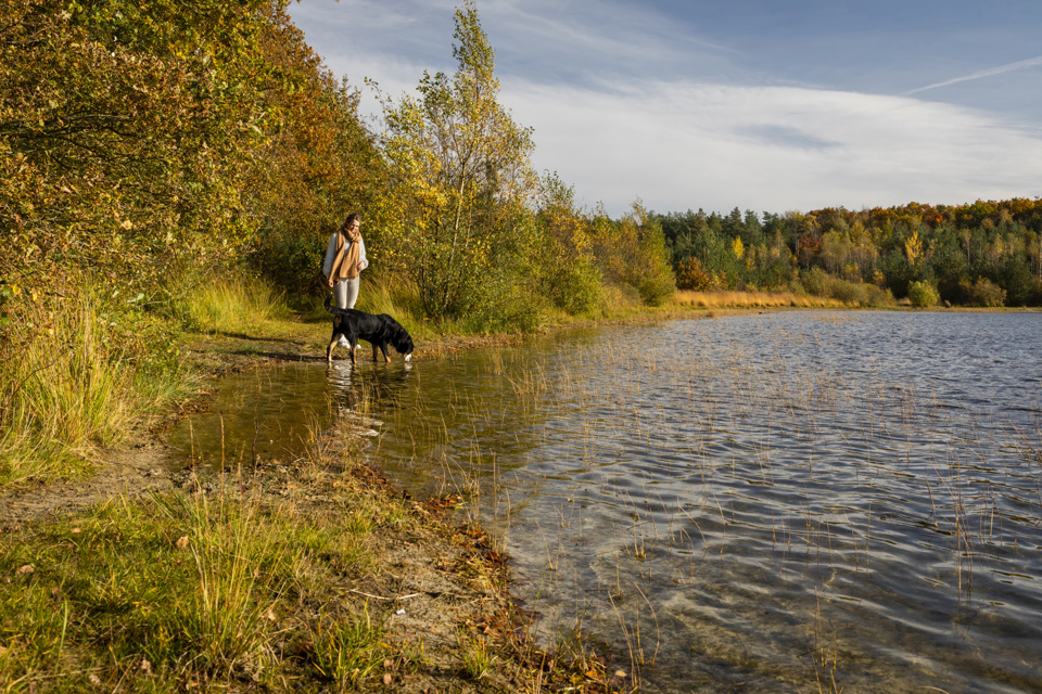 Canadameer, Drents Friese Wold