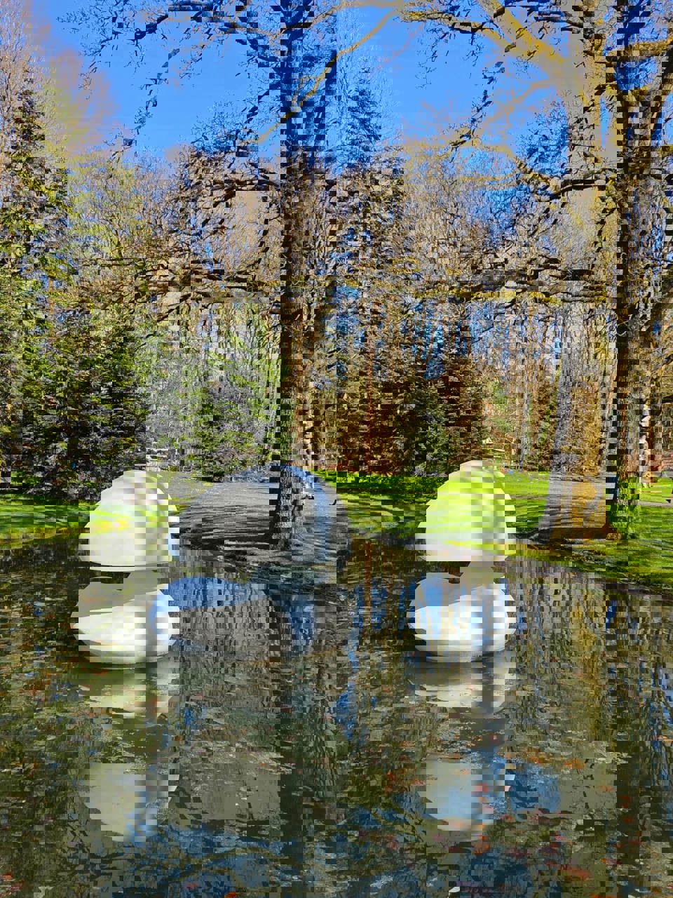 Nationale Park De Hoge Veluwe - Kröller-Müller Museum