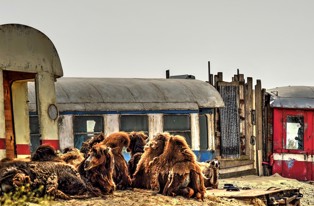 Inzicht in het effect van toerisme op de economie, omgeving en samenleving in Drenthe