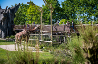 0525 Dagattractie Top-50 2024