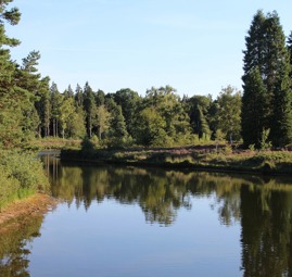 Haarplas Hardenberg