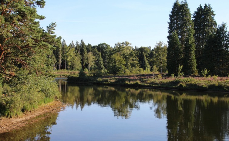 Haarplas Hardenberg