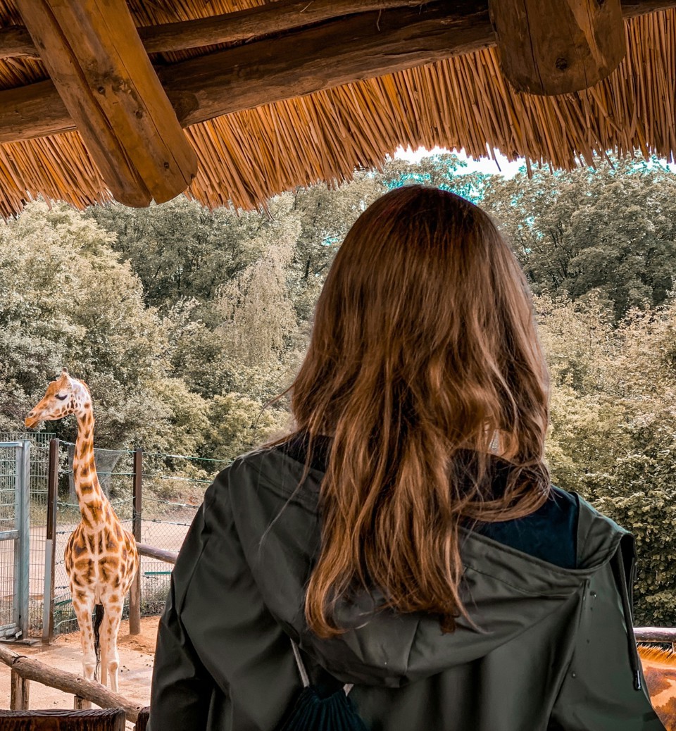 Dierentuinen top 50_2024