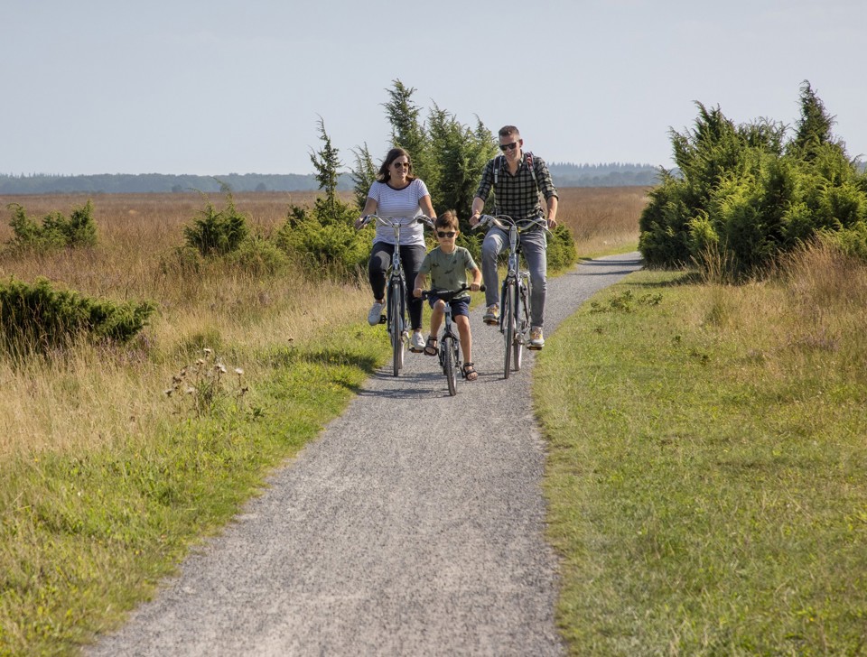 Fietsen Dwingelderveld (1)