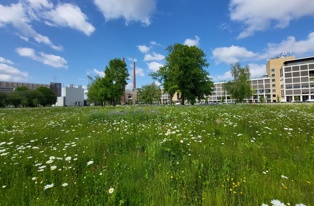 Bedrijventerrein Eindhoven