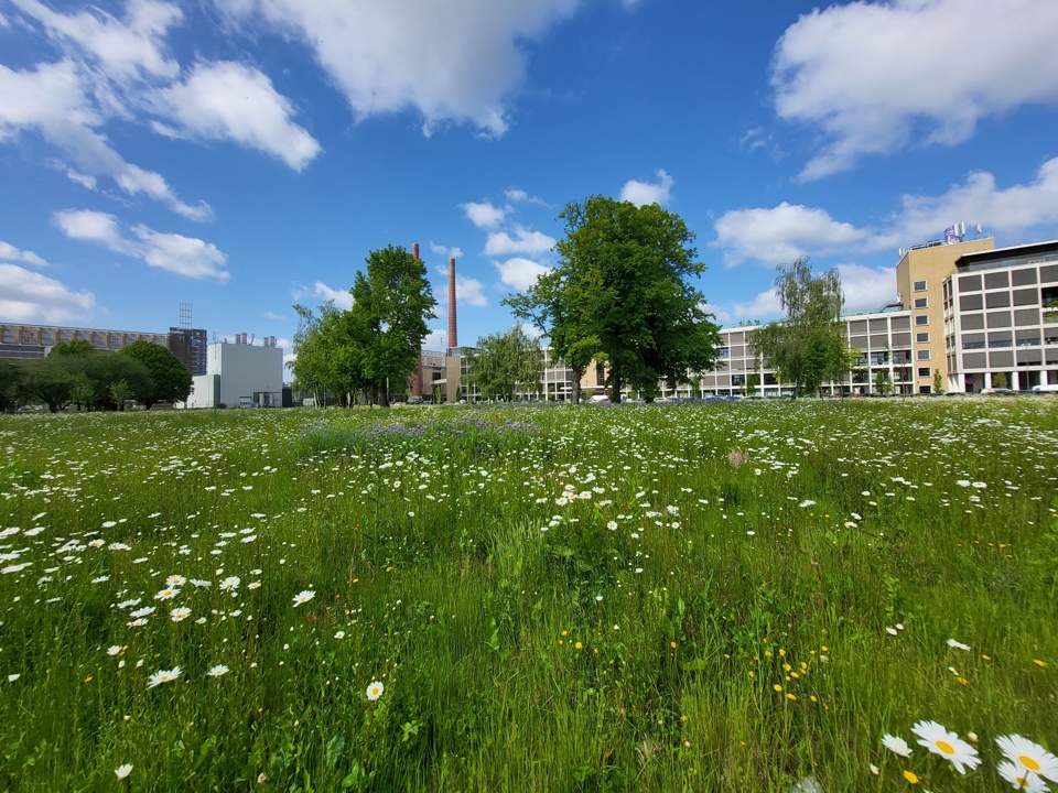 Bedrijventerrein Eindhoven