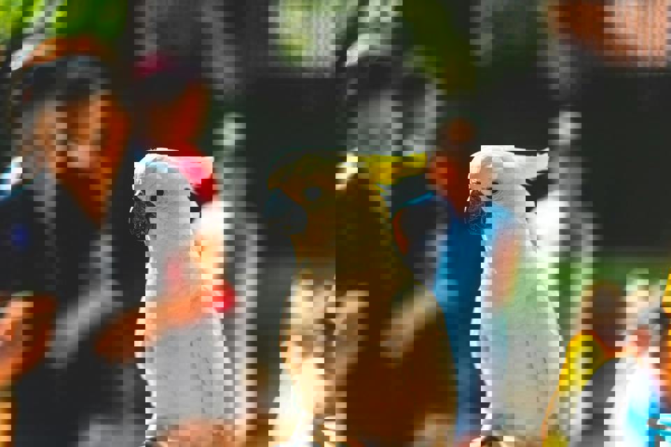 Dierentuinen top 50 2024